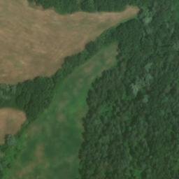 Mappa satellitare STRADA SELVANIZZA, Palanzano