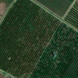 Mappa satellitare VIA SELLUSTRA, Imola