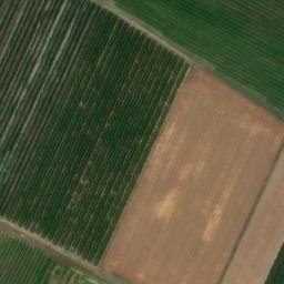 Mappa satellitare VIA LUGHESE, Imola
