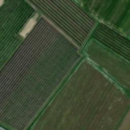 Mappa satellitare VIA AGRIPPINA, Cotignola