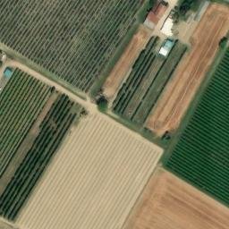 Mappa satellitare VIA PROSCIUTTA, Faenza
