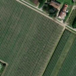 Mappa satellitare VIA ORIOLA, Faenza
