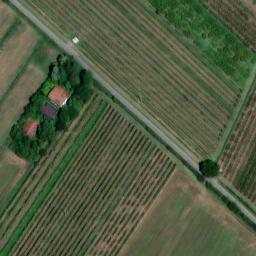 Mappa satellitare VIA DEL SANTO, Imola