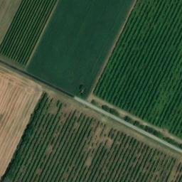 Mappa satellitare VIA GREGORINI, Forlì