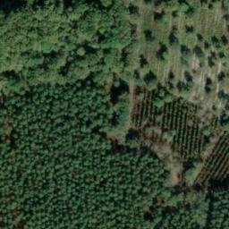 château de Capchicot