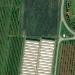 Mappa satellitare VIA BORGHETTO, Cesena