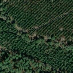 château de Peyrebère