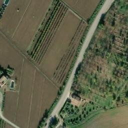Mappa satellitare VIA SAVIGNANO, Longiano