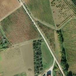 Mappa satellitare VIA AMANDOLE, Longiano