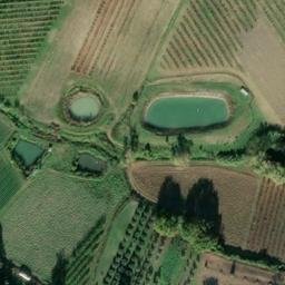 Mappa satellitare VIA RONCONA, Roncofreddo