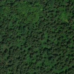 Ricovero M ouest et est