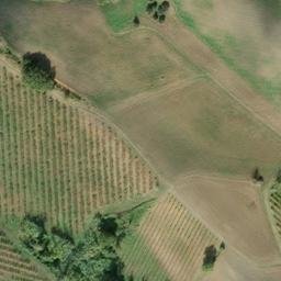 Mappa satellitare VIA CUCCO, Roncofreddo