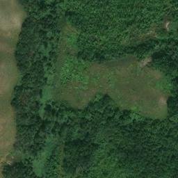 Mappa satellitare PODERE RIVA, Civitella di Romagna