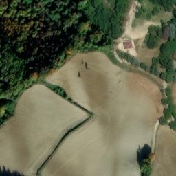 Mappa satellitare PODERE DERNA, Premilcuore