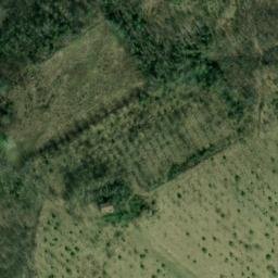 Mappa satellitare PODERE CALCI, Civitella di Romagna