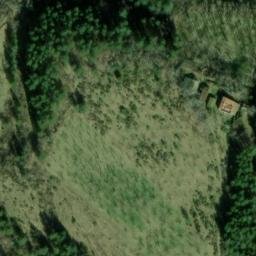 Mappa satellitare PODERE ORTALI, Galeata