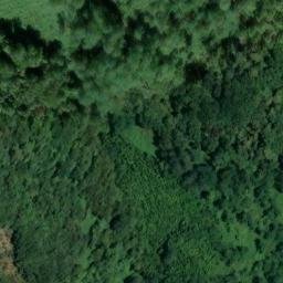 Mappa satellitare CORTE RODO', Camaiore