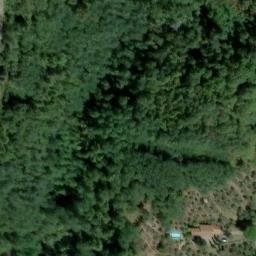 Mappa satellitare VIA CAMPORE, Marliana