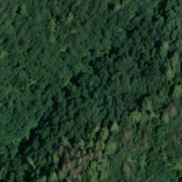 Mappa satellitare VIA MELAIO, Camaiore