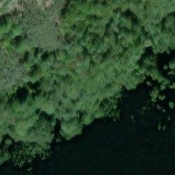 Mappa satellitare BORGATA PATACCHI, Camaiore