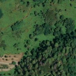 Mappa satellitare VIA FRAGOLE, Camaiore
