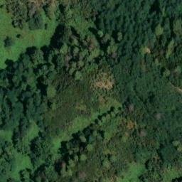 Mappa satellitare VIA PIOPPO, Camaiore