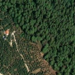 Mappa satellitare VIA CILIEGI, Camaiore