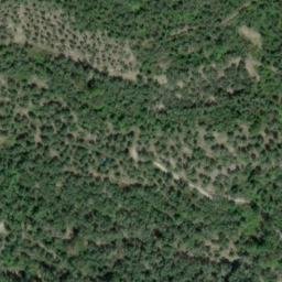 Mappa satellitare LOCALITA' ACQUASANTA, Dolcedo