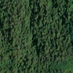 Mappa satellitare BORGATA ANTICIANA, Camaiore