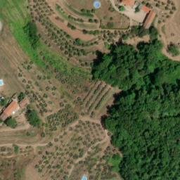 Mappa satellitare VIA DI CASTAGNORI, Lucca