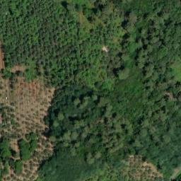 Mappa satellitare VIA BORRONE, Massarosa