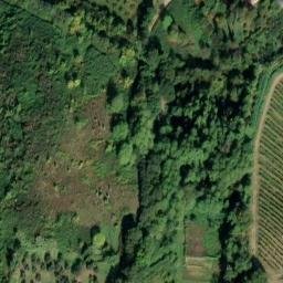 Mappa satellitare VIA CASONE, Carmignano