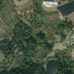 Mappa satellitare STRADA GUMBA, Vallebona