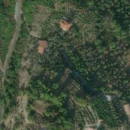 Mappa satellitare STRADA MACIURINA, Vallebona