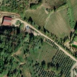 Mappa satellitare VIA PETRAIA, Carmignano