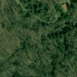 Mappa satellitare LOCALITA' BUCIGNA VECCHIA, Londa