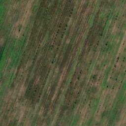 Mappa satellitare LOCALITA' CALLONE, Altopascio