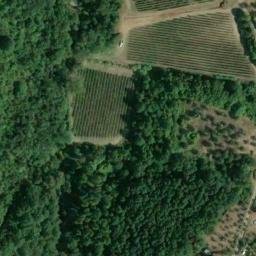 Mappa satellitare VIA LE VOLTE, Carmignano
