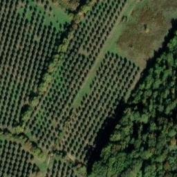 Mappa satellitare VIA DEI CANCELLACCI, Scandicci