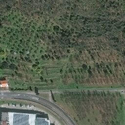 Mappa satellitare VIA PULIGNANO, Capraia e Limite