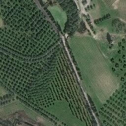 Mappa satellitare VIA DIANELLA, Vinci
