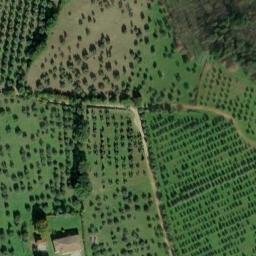 Mappa satellitare LOCALITÀ CASOLARI, Reggello