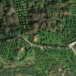Mappa satellitare LOCALITÀ IL CORTO, Reggello