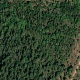 château du Roy René