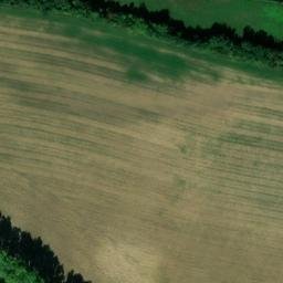 château de château Bas