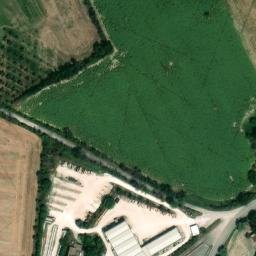 Mappa satellitare CONTRADA MONTEFREDDO, Agugliano