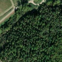 Mappa satellitare CASE SPARSE VECINE, Radda in Chianti