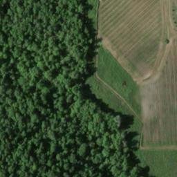 Mappa satellitare CASE SPARSE MULINVECCHIO, Radda in Chianti