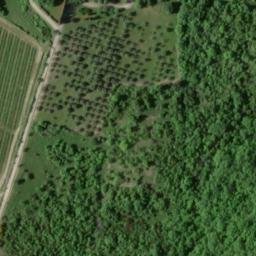 Mappa satellitare CASE SPARSE SPANDA, Radda in Chianti