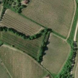 Mappa satellitare CASE SPARSE DURO, Radda in Chianti